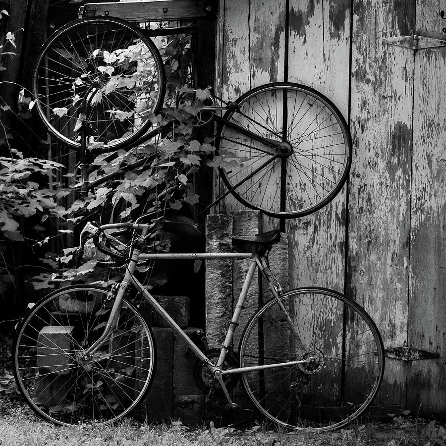 Bicycles Photograph by Jay Stockhaus