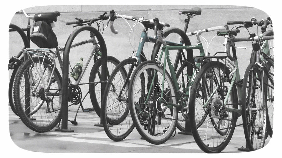 Bicycles Photograph