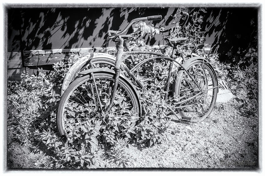 Bicycles of old Photograph by LeeAnn McLaneGoetz McLaneGoetzStudioLLCcom