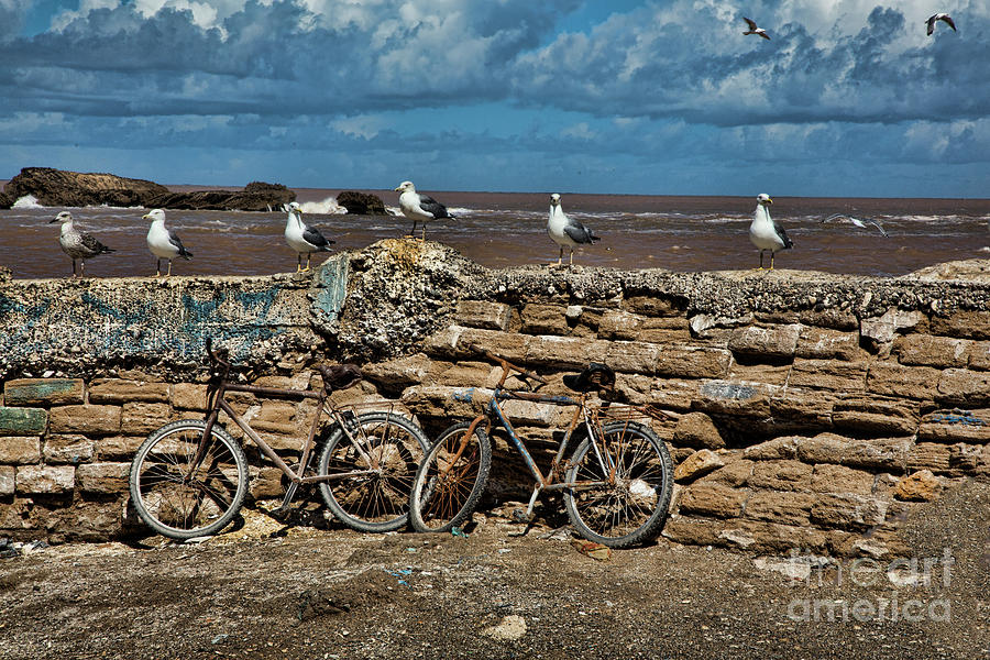 Bicycles Stone Walls Essaouira Morocco Photograph by Chuck Kuhn