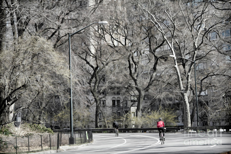 Bicycling Central Park  Photograph by Chuck Kuhn