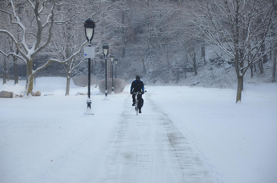Bicycling in the Snow - Fairmount Park Photograph by Bill Cannon