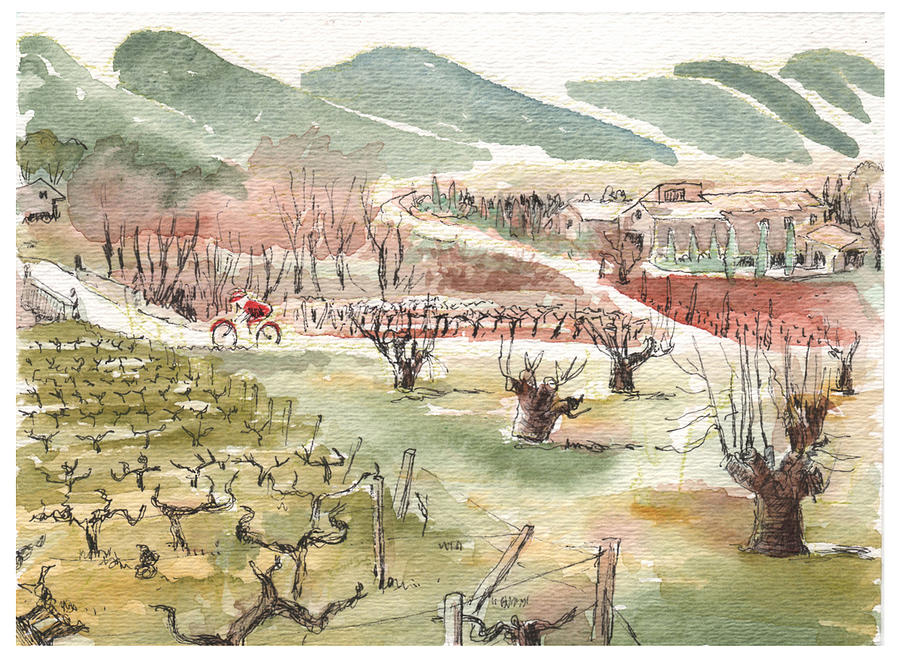 Bicycling through vineyards Painting by Tilly Strauss