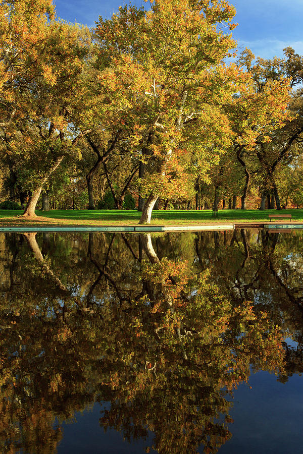 Bidwell Park Reflections Photograph by James Eddy