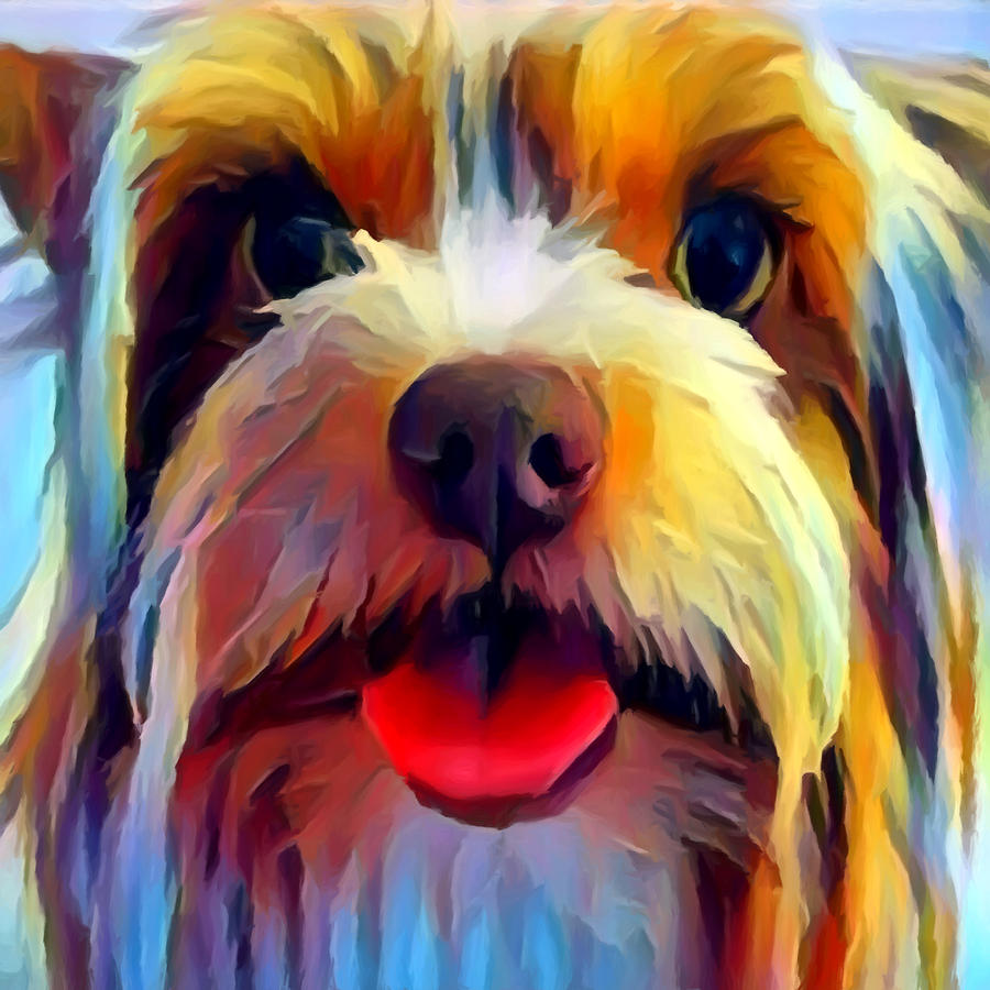 Biewer Terrier Painting by Chris Butler