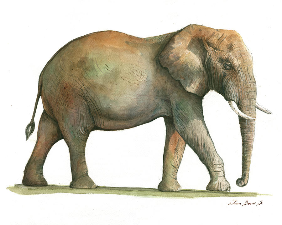 Elephant Painting - Big african male elephant by Juan Bosco