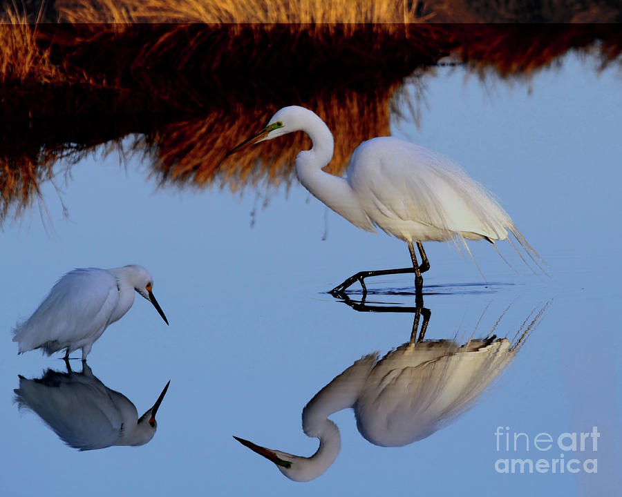 Big and Small Reflection Photograph by Roger Becker