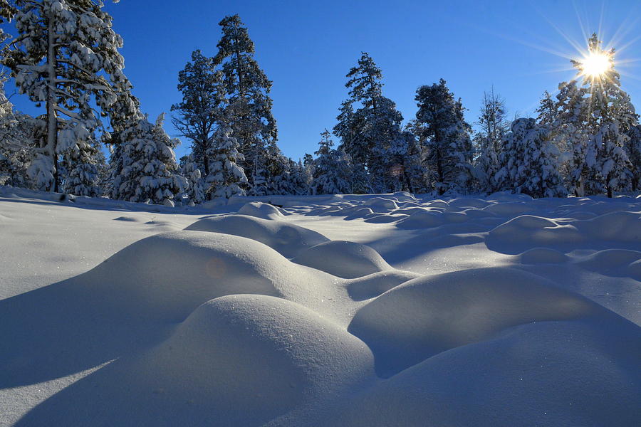 Big Bear Morning Photograph by Christine Owens Big Bear Morning Photograph by Christine Owens