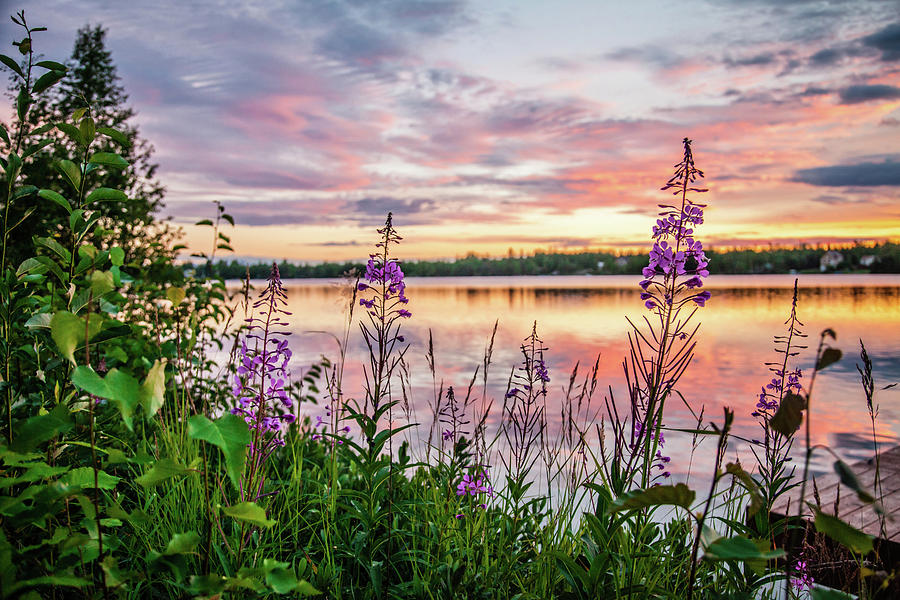 Big Beaver Lake Alaska4 Photograph by Emily Fisher