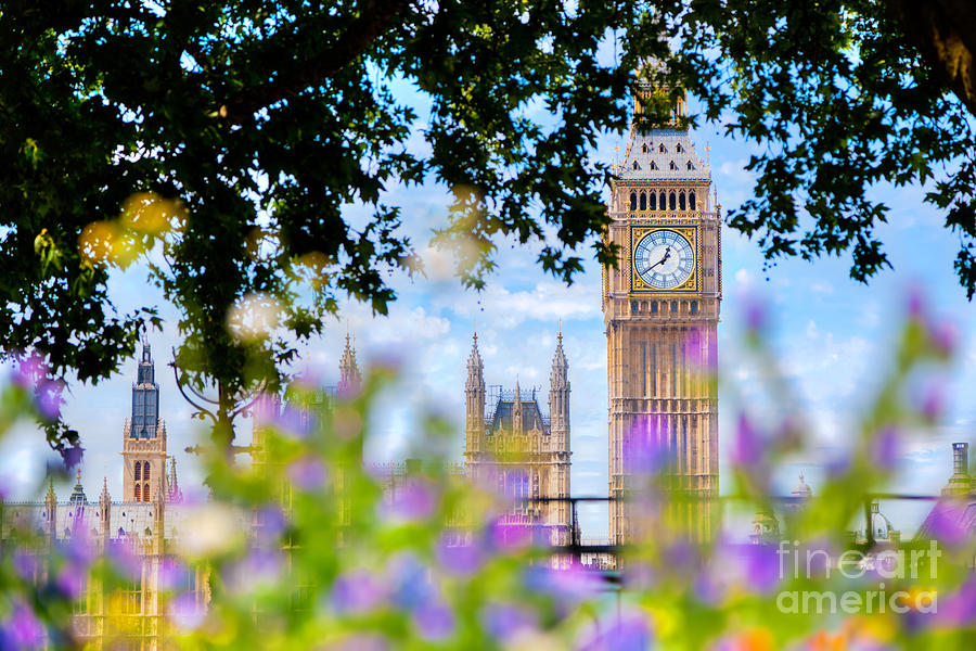 Big Ben,, London UK. View from a public garden with flowers and trees Photograph by Michal Bednarek