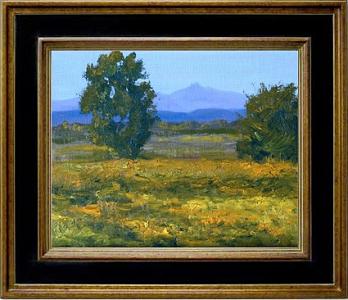 Big Bend National Park Painting - Big Bend Meadow by Graham Murray Big Bend National Park Painting - Big Bend Meadow by Graham Murray