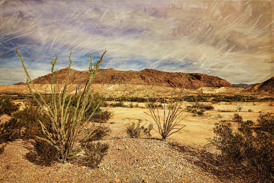 Big Bend National Park 3 With Texture Photograph by Judy Vincent