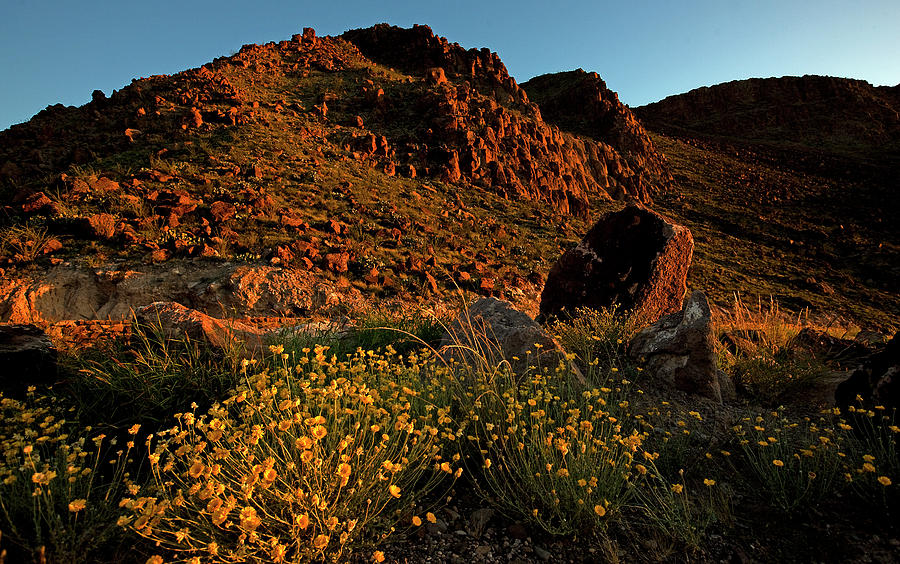 Big Bend Spring Photograph by Kevin Vandivier - Fine Art America