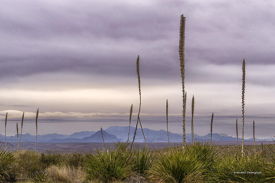 Big Bend Vista Photograph by Wendell Thompson
