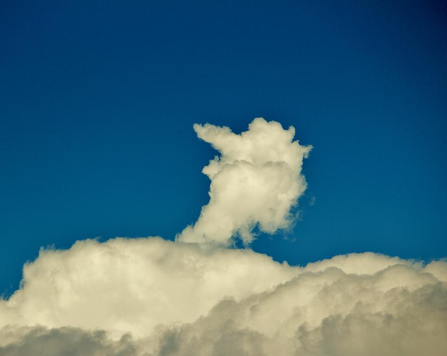 Big Bird Cloud Photograph by Cynthia Guinn