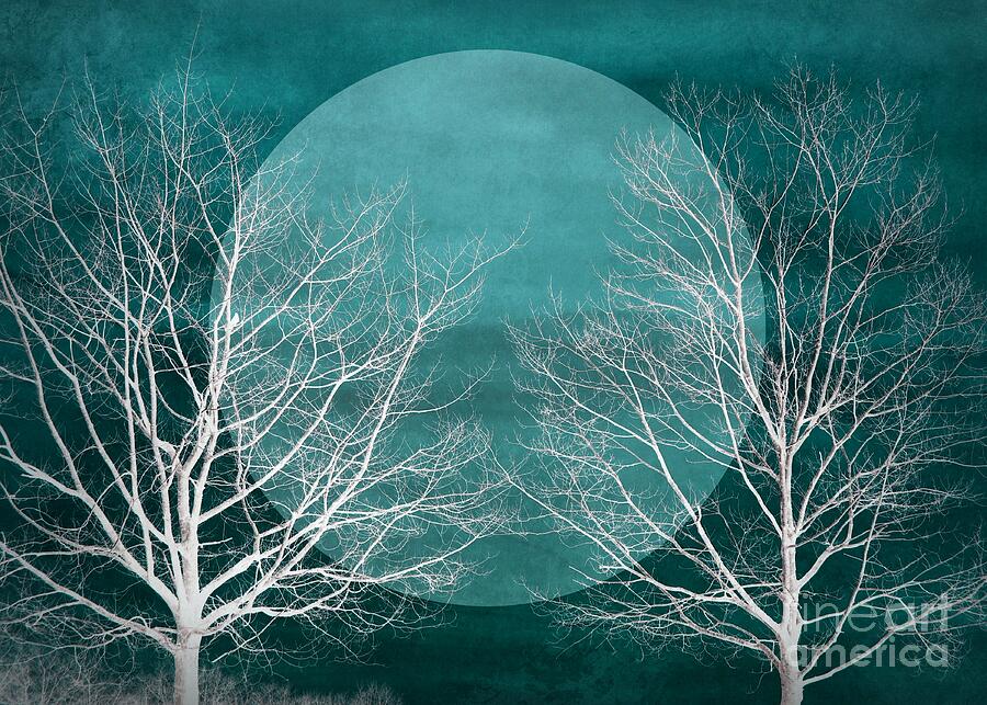 Big Blue Moon Silhouette Photograph by Patricia Strand