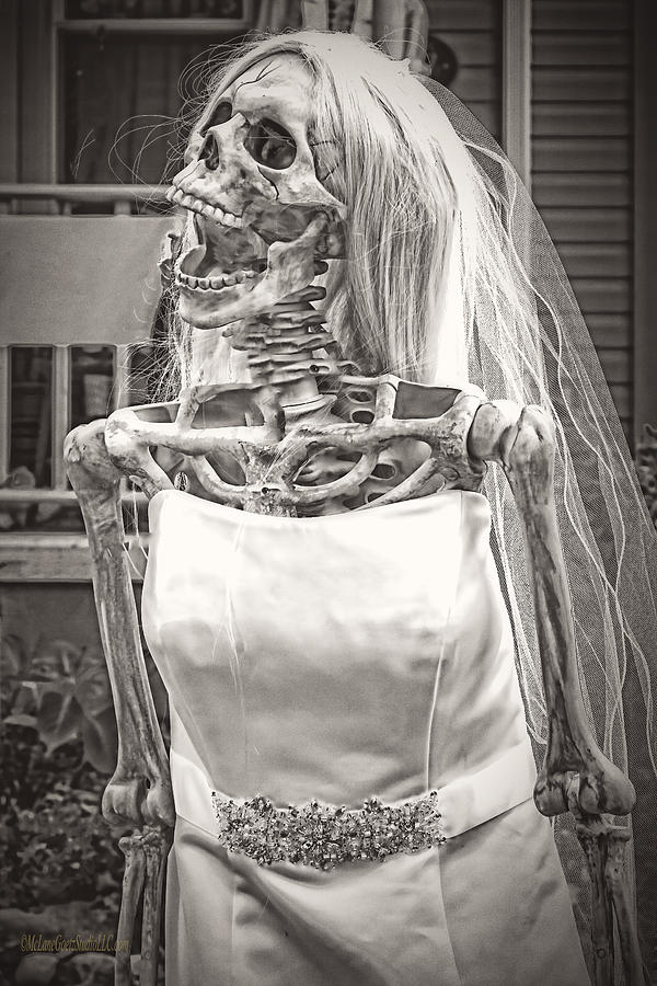 Big Boned Skeleton Bride Photograph by LeeAnn McLaneGoetz McLaneGoetzStudioLLCcom
