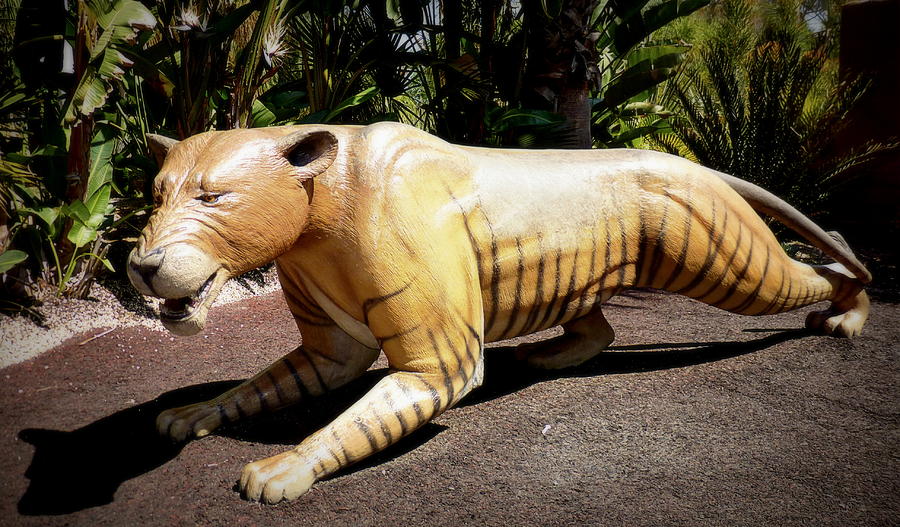 Cat Photograph - Big Cat Model at San Diego Zoo by Lori Seaman