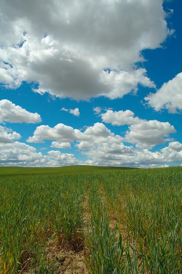 Big cotton clouds Photograph by Jeff Swan - Fine Art America