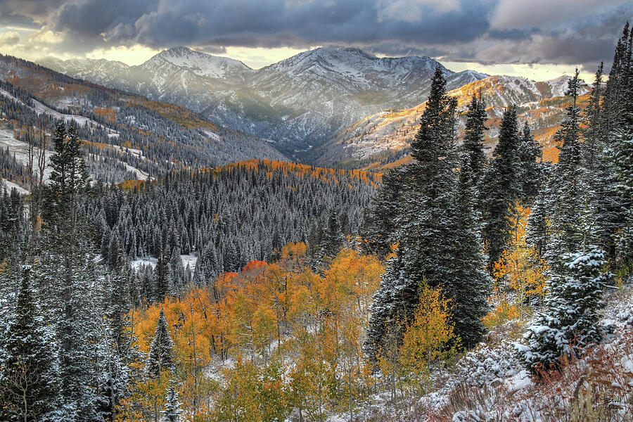 Big Cottonwood Canyon Early Snow and Fall Color Photograph by Brett Pelletier