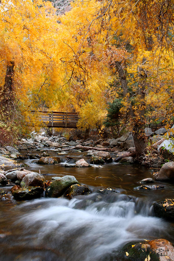 Big Cottonwood Creek in Fall Photograph by Brett Pelletier