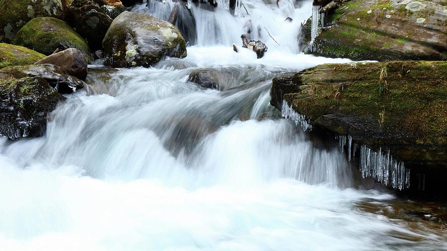 Big Creek in the Great Smoky Mountains National Park Photograph by Carol Montoya