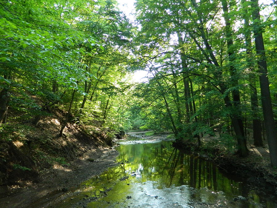 Big Creek Ohio Photograph