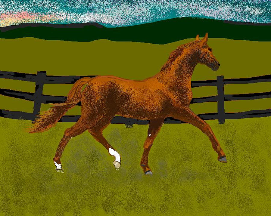 Horse Digital Art - Big Duke by Carole Boyd