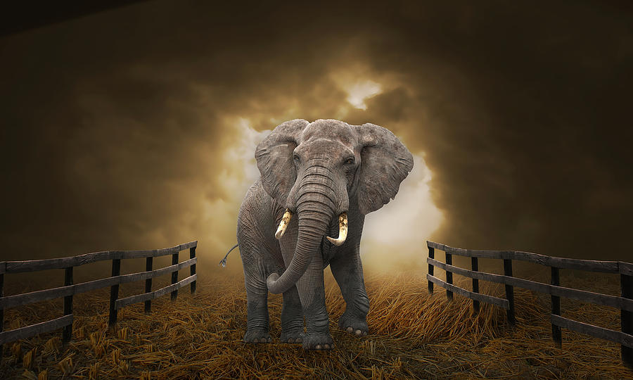 Elephant Mixed Media - Big Entrance Elephant Art by Marvin Blaine