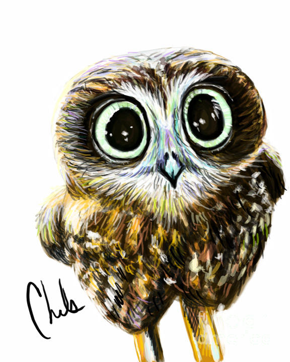 Owl Digital Art - Big Eyes by Chelsea Perez