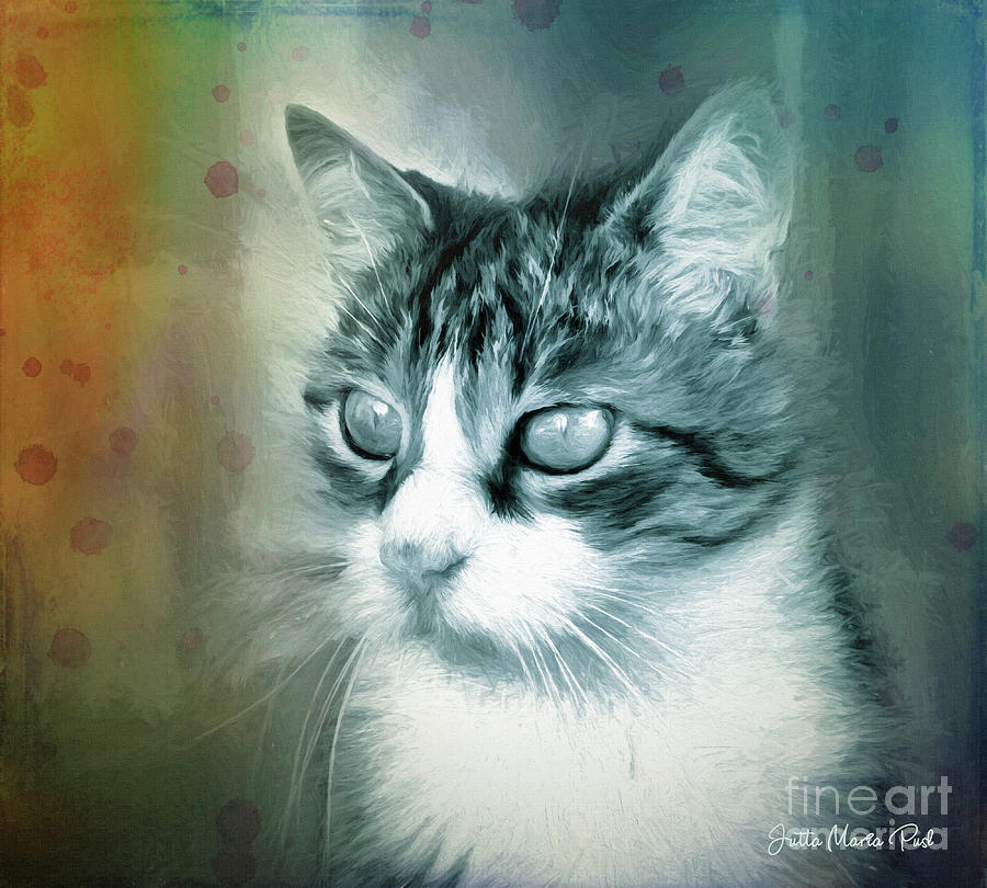 Cat Digital Art - Big Eyes by Jutta Maria Pusl