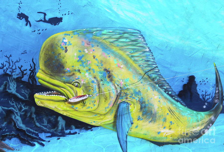 Big Fish Mural Photograph by Eddie Barron