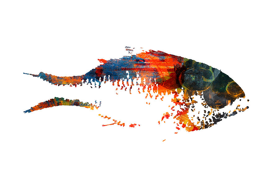 Big Fish Digital Art by Nancy Merkle