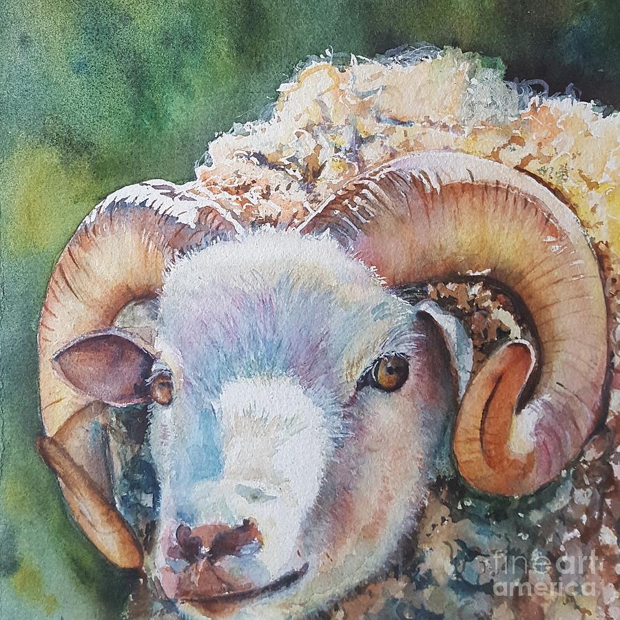 Sheep Painting - Big guy by Patricia Pushaw