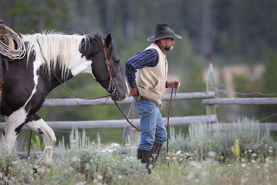 Big Horn Cowboy Photograph by Diane Bohna