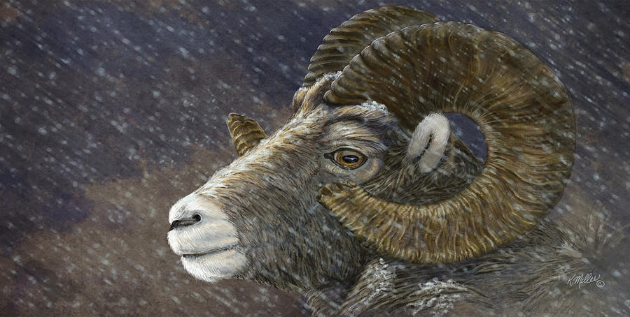 Big Horn In Snowstorm Painting by Kathie Miller