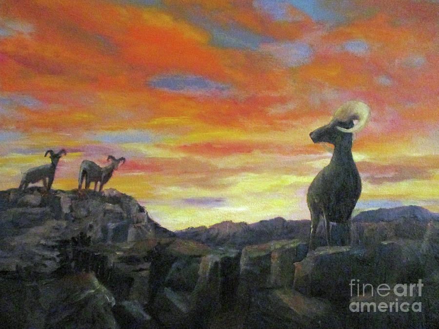 Big Horn Sheep at Sunset Painting by Roseann Gilmore