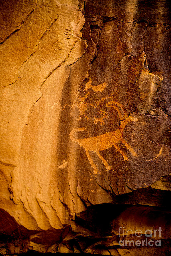 Prehistoric Photograph - Big Horn Sheep Petroglyph - Nine Mile Canyon - Utah by Gary Whitton