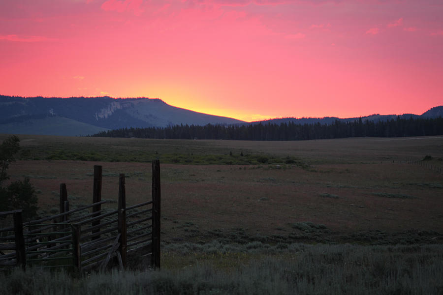 Big Horn Sunrise Photograph by Diane Bohna
