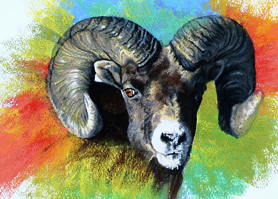 Big Horned Sheep Pastel by Janice Lawrence