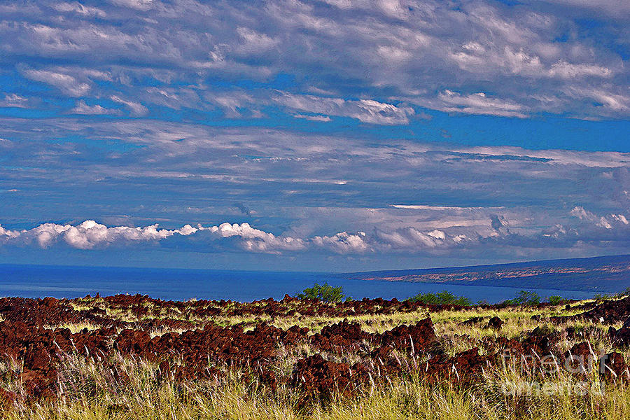 Big Island Landscape 4 Photograph by Bette Phelan