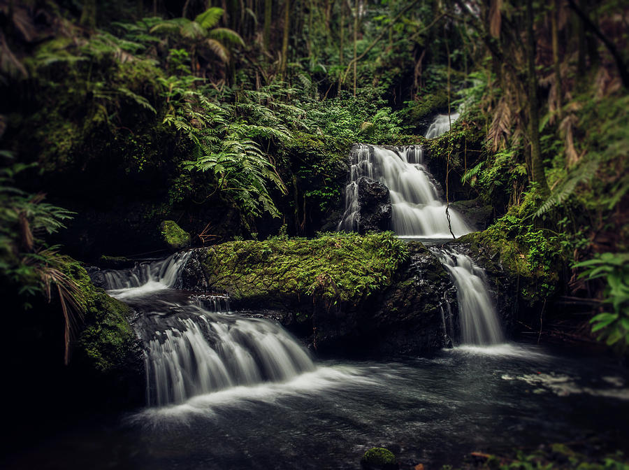 Fall Photograph - Big Island Small Waterfalls by Ursa Davis