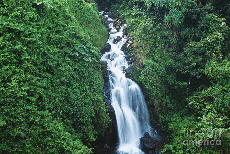 Big Island Watefall Photograph by William Waterfall - Printscapes