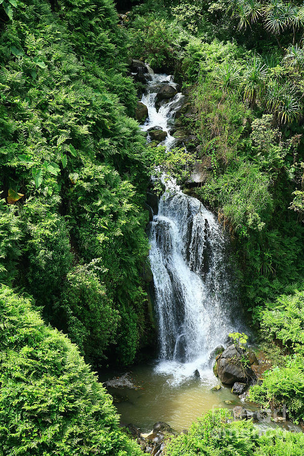 Waterfall Photograph - Big Island Waterfall by Peter French - Printscapes