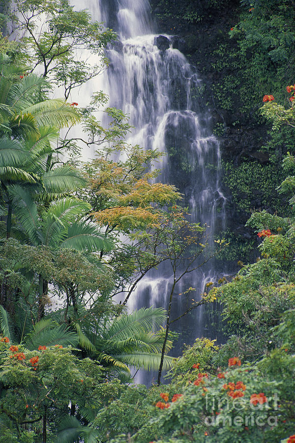 Paradise Photograph - Big Island Waterfall by Ron Dahlquist - Printscapes