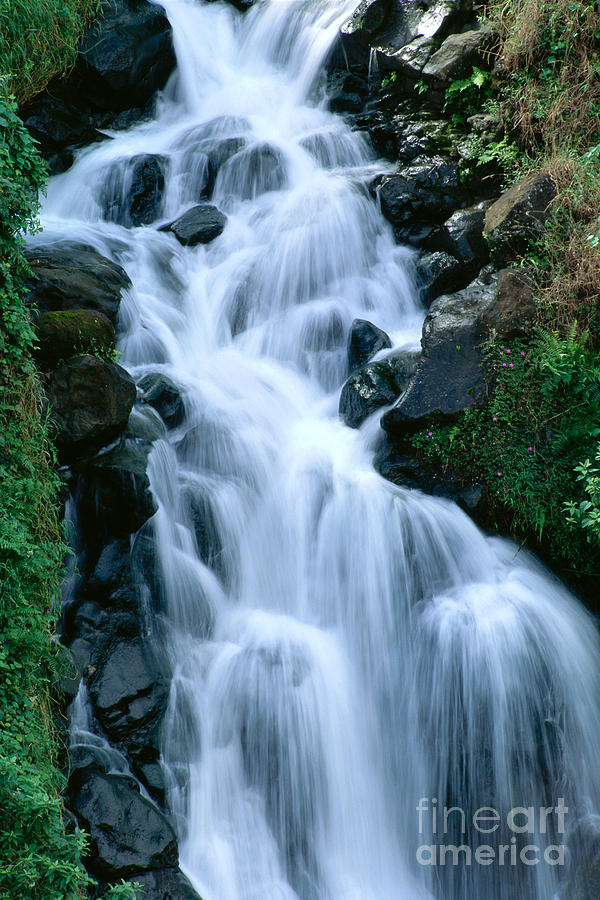 Waterfall Photograph - Big Island Waterfall by William Waterfall - Printscapes