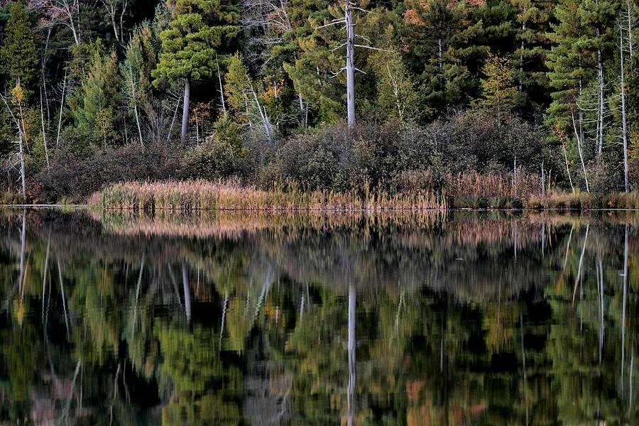 Big Leverent Lake In Autumn II Photograph