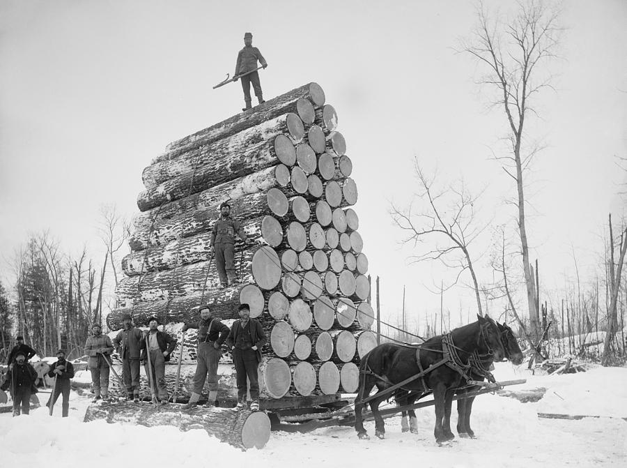 Winter Photograph - Big Load Of Logs On A Horse Drawn Sled by Everett