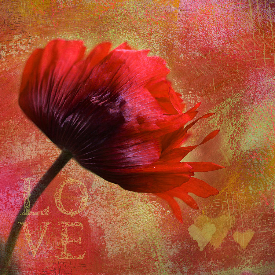 Big Love by Annie Snel Big Love by Annie Snel