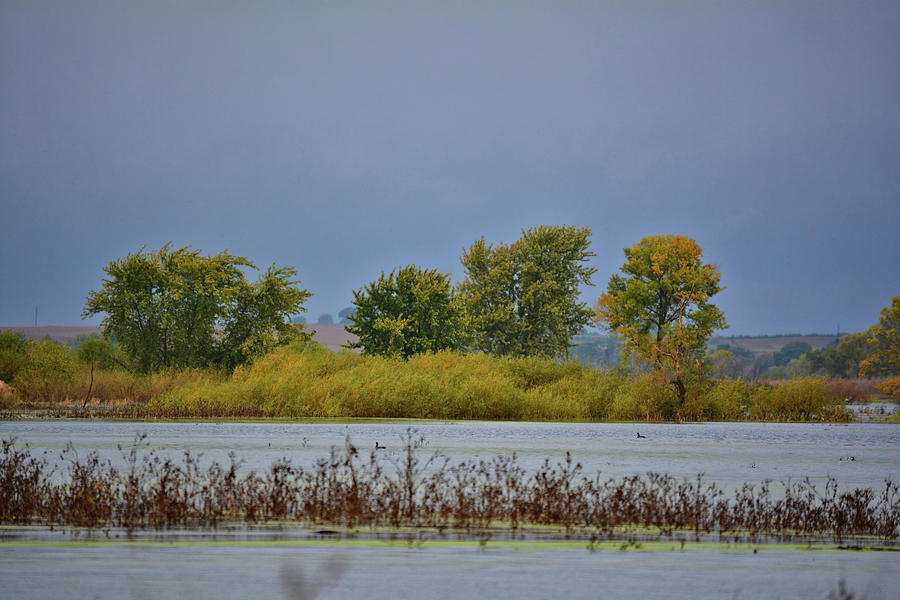 Big Marsh Autumn Photograph by Bonfire Photography